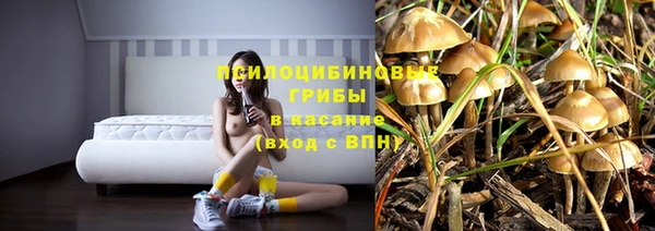 а пвп мука Верхний Тагил
