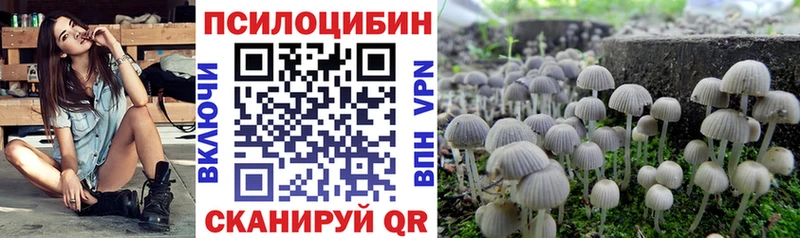 Галлюциногенные грибы Psilocybe  магазин продажи   Сыктывкар 