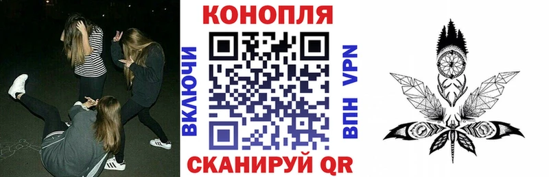Марихуана планчик Сыктывкар